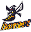 logo_10_hornet.png